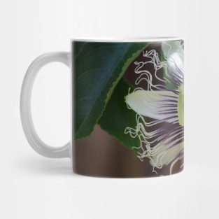 Passion Flower Mug